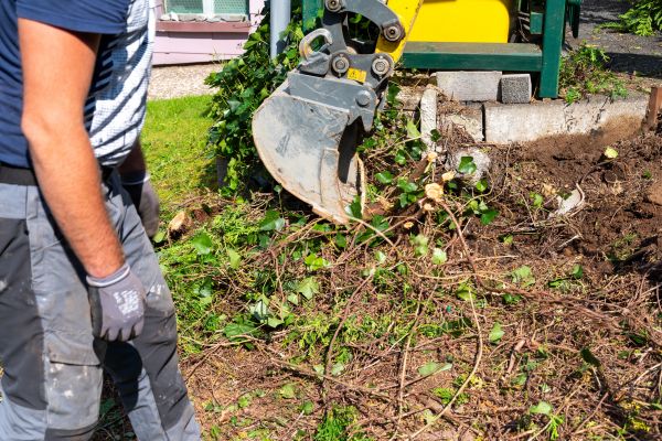 Hedge Removal Service in Salinas