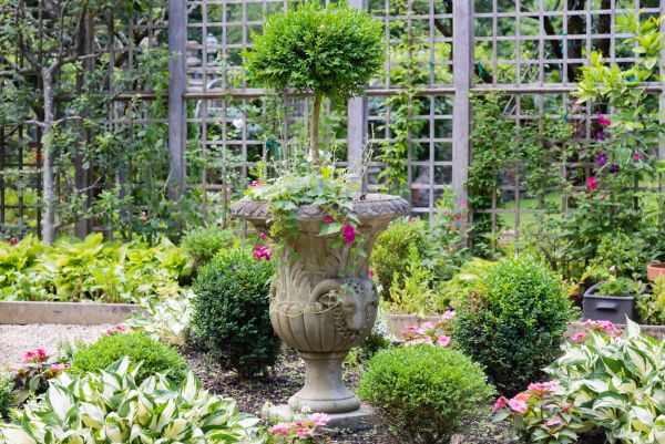 Topiary Pruning in Salinas