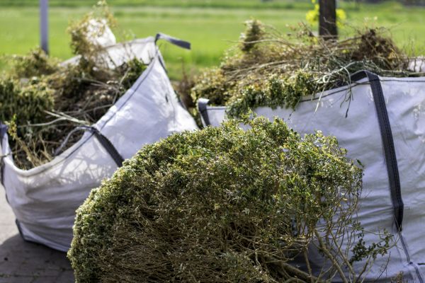 Cost of Shrubs Removal in Salinas