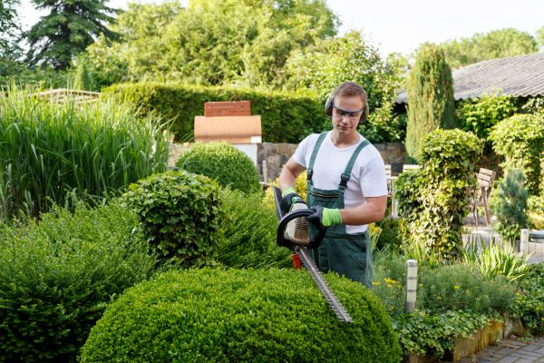 Shrubs Trimming in Salinas