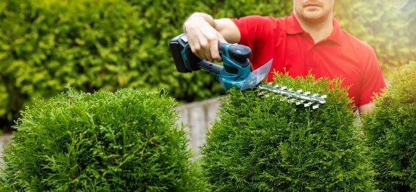 Hedge Shaping Service in Salinas