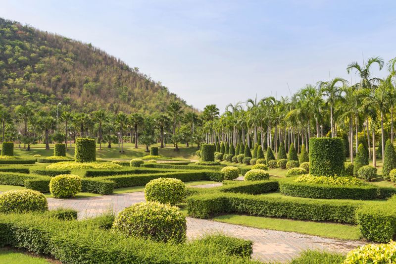 Trimmed Shrubs with Defined Shapes